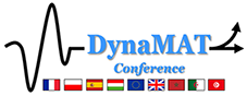 14th Workshop of DYNAMIC BEHAVIOUR OF MATERIALS AND ITS APPLICATIONS IN INDUSTRIAL PROCESSES